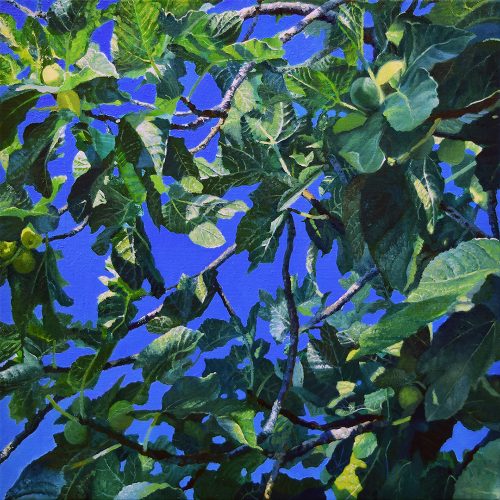 FIGS