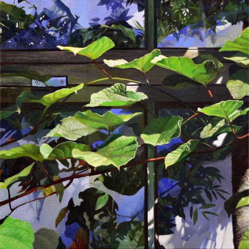THE CONSERVATORY II